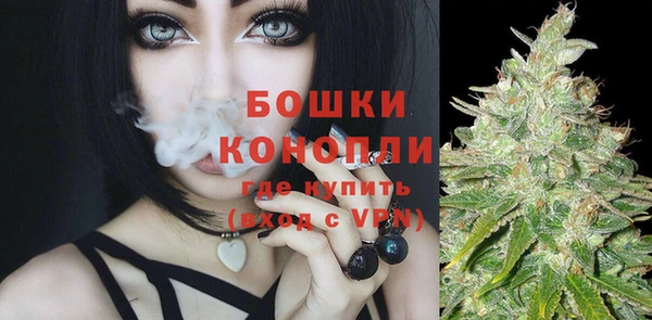 Альфа ПВП Няндома