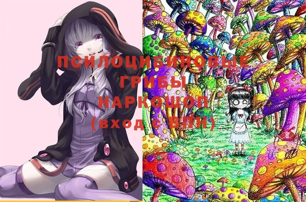 Альфа ПВП Няндома