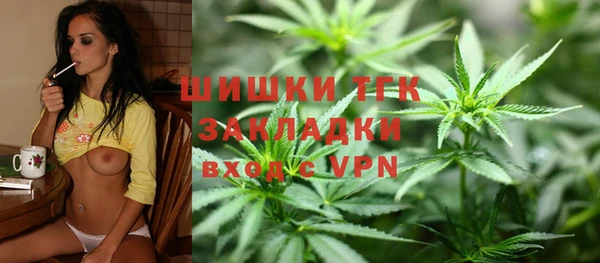 Альфа ПВП Няндома
