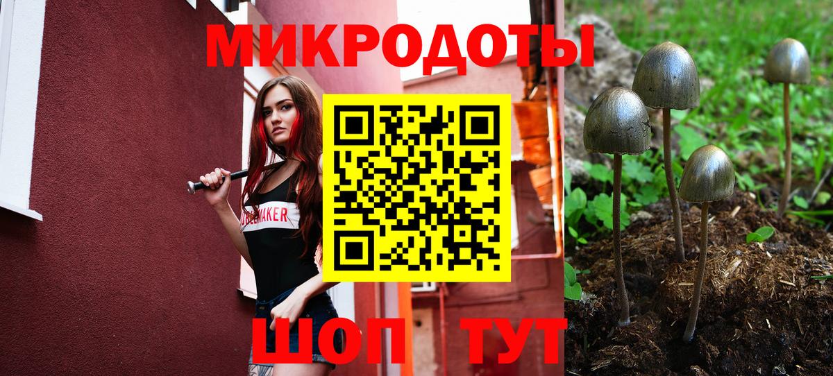 Псилоцибиновые грибы мицелий  Псилоцибиновые грибы мухоморы  Вход с VPN  Северобайкальск 