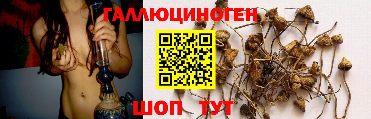 Псилоцибиновые грибы мицелий  Северобайкальск 